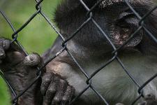37 Blijdorp Dierentuin 2019-05-29