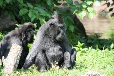 44 Blijdorp Dierentuin 2019-05-29