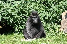 48 Blijdorp Dierentuin 2019-05-29
