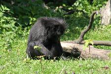 49 Blijdorp Dierentuin 2019-05-29