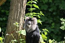 50 Blijdorp Dierentuin 2019-05-29