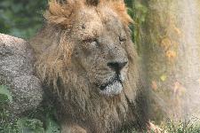 56 Blijdorp Dierentuin 2019-05-29